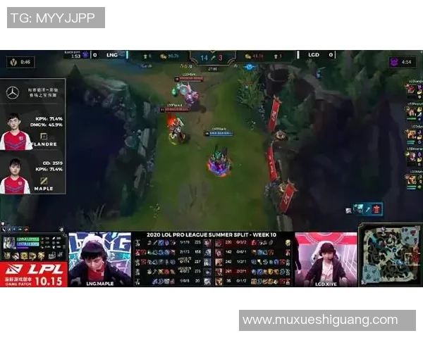 王者荣耀战术LNG的控制体系解析与实战应用探讨