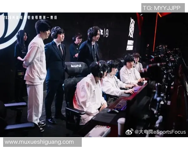 esports数据深入分析IG与WE赛后复盘的技术细节与战术布局